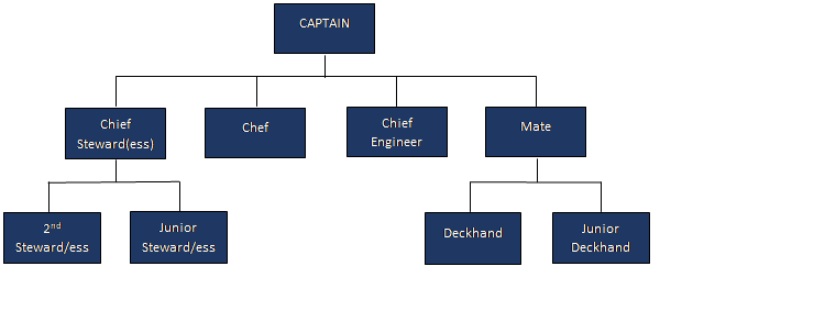 Rank Structure of Yacht Crew on a 50m yacht, starting with a Captain at the top. Then on a lower level; Chief Stew, Chef, Chief Engineer, Mate. Then Under Chief Steward; 2nd Steward and Junior Steward. Under Mate; Deckhand and Junior Deckhand. 